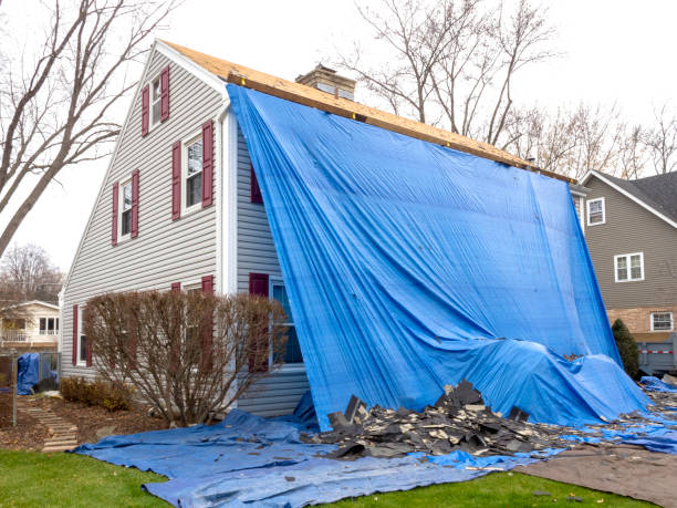 Shed Removal in Delta, UT